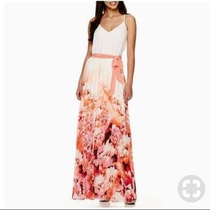 Bison Bisou pleated floral maxi dress